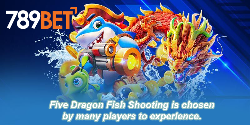 five dragon fish shooting creates a fever in the market