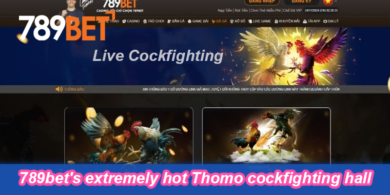 789Bet's extremely hot Thomo cockfighting arena