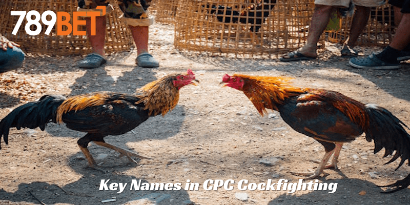 Key Names in CPC Cockfighting