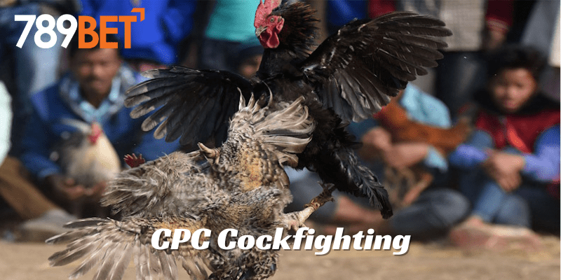 CPC Cockfighting