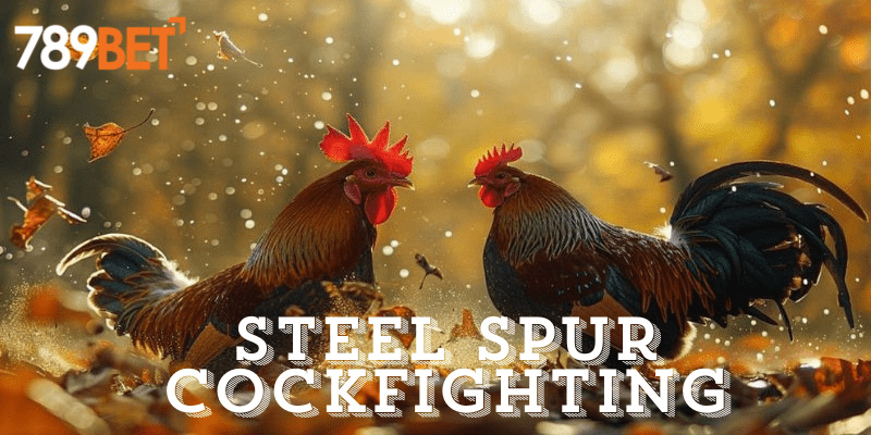 Steel Spur Cockfighting